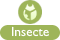 Type insecte MX