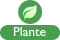 Type plante MX